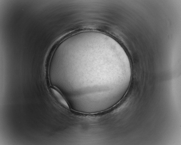 X0000089350779200707131530