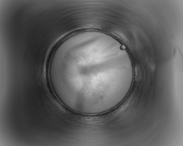 X0000089350780200707131530