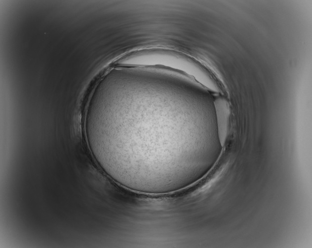 X0000089350781200707131530