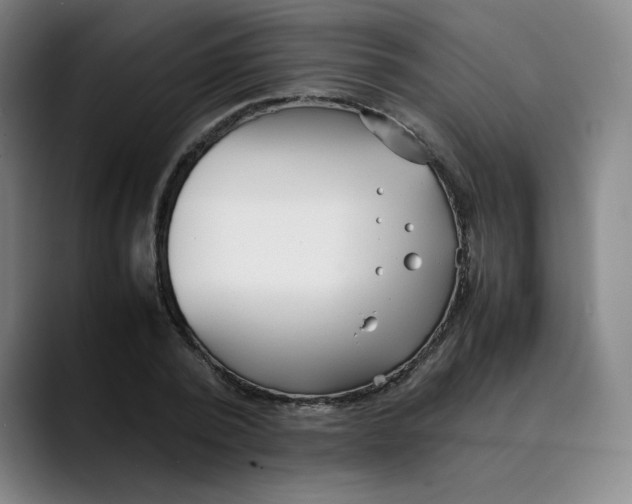 X0000089350784200707131530