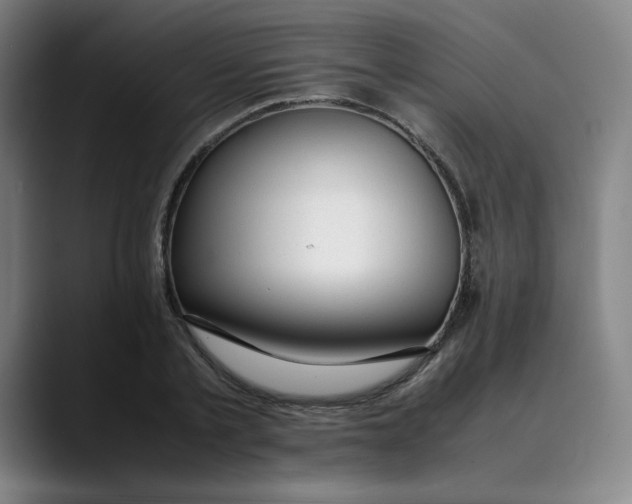 X0000089350789200707131530