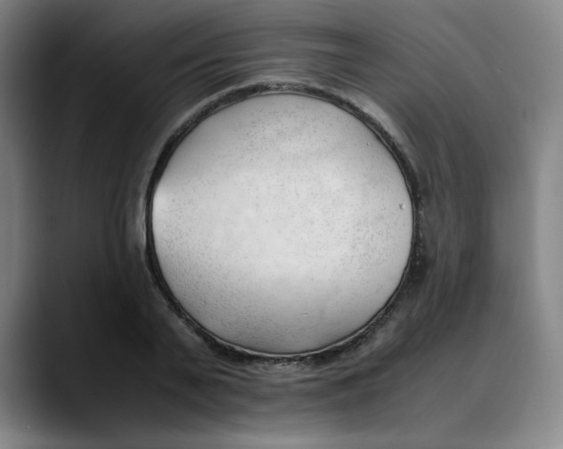 X0000089350791200707131530