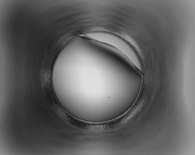 X0000089350793200707131530