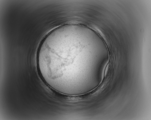 X0000089350795200707131530