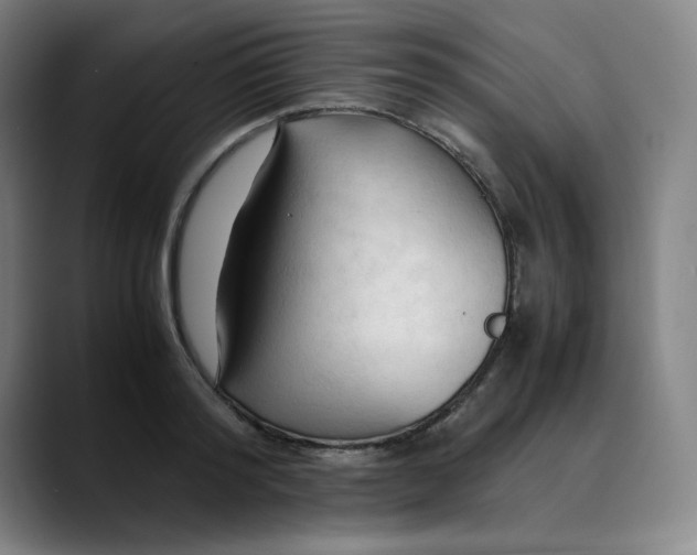 X0000089350796200707131530