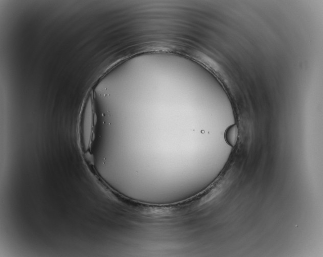 X0000089350802200707131530
