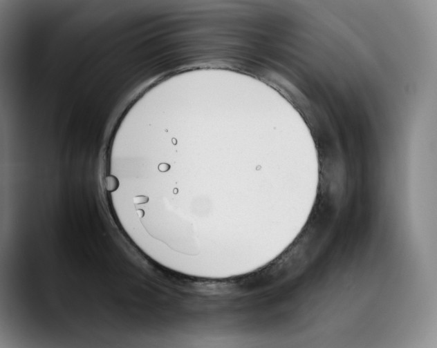 X0000089350804200707131530