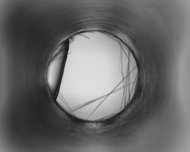 X0000089350805200707131530