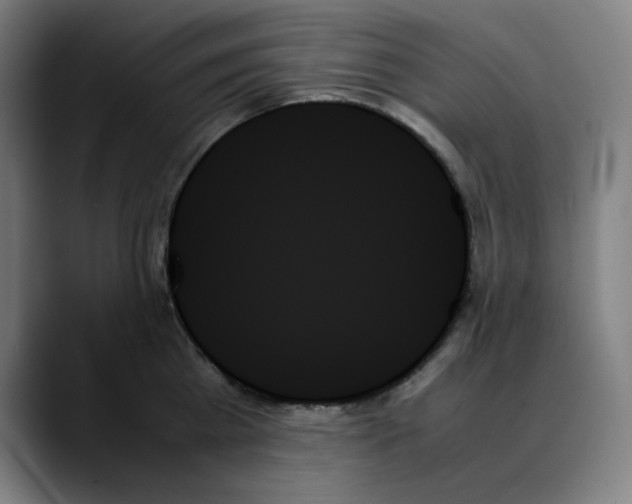 X0000089350809200707131530