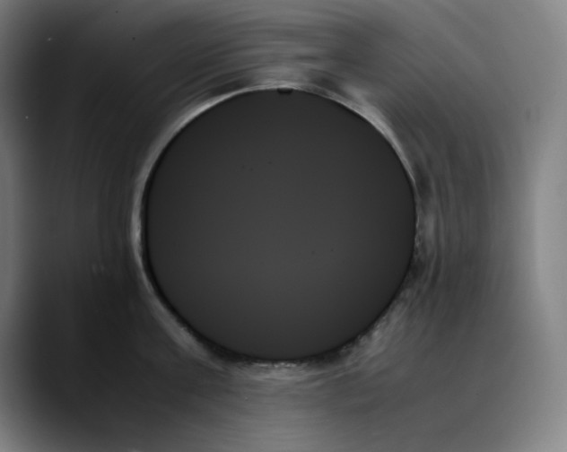 X0000089350811200707131530