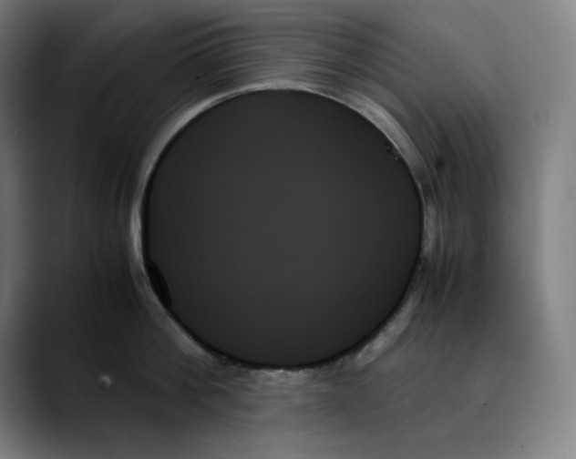 X0000089350812200707131530