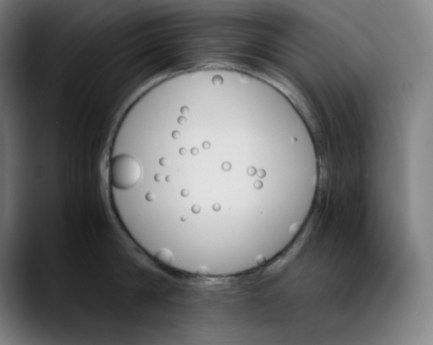 X0000089350814200707131530