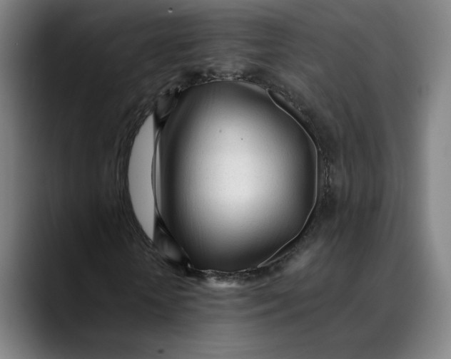 X0000089350818200707131529