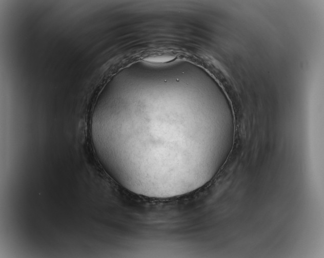 X0000089350821200707131529