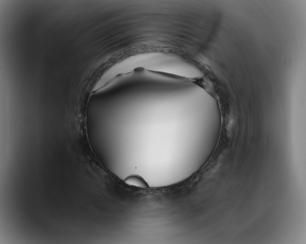 X0000089350822200707131529