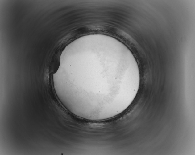 X0000089350825200707131529