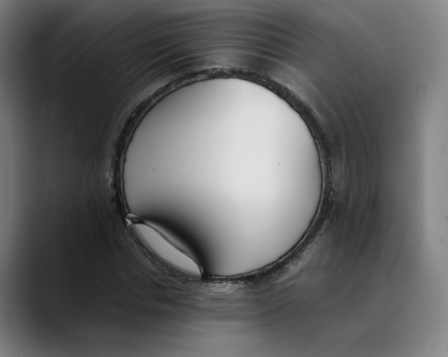X0000089350826200707131529