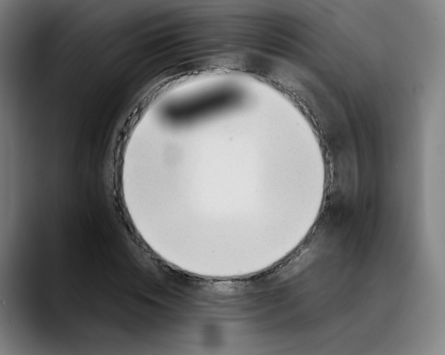 X0000089350828200707131529