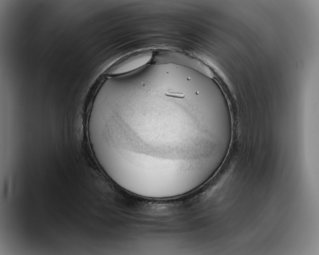 X0000089350829200707131529