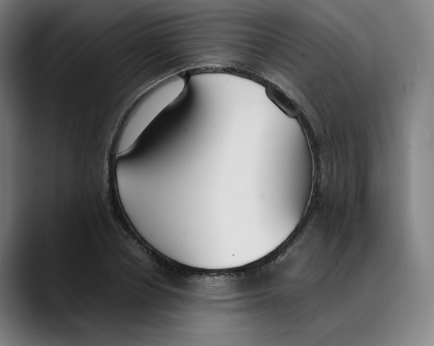 X0000089350834200707131529