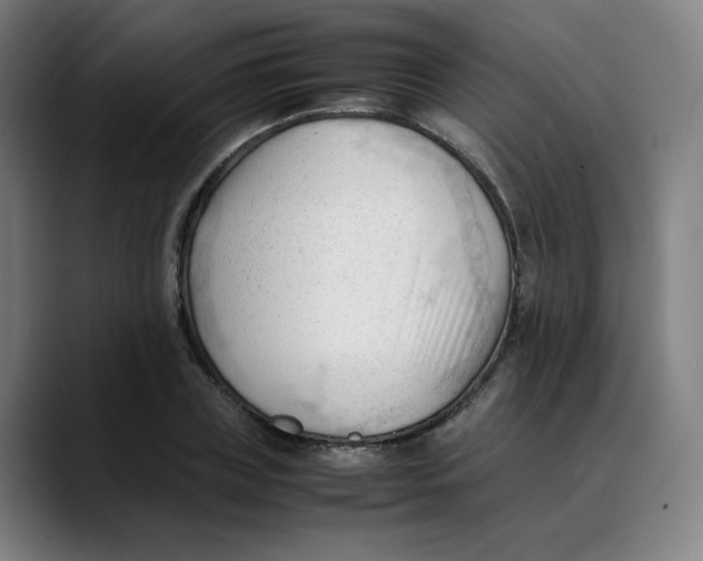 X0000089350835200707131529