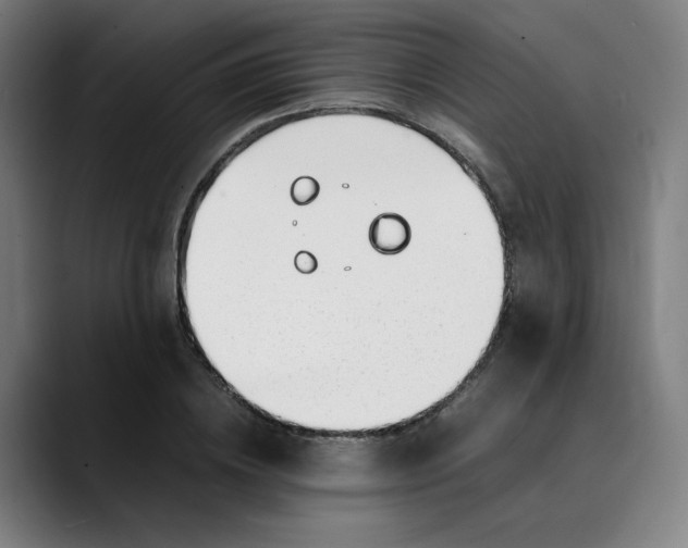 X0000089350836200707131529