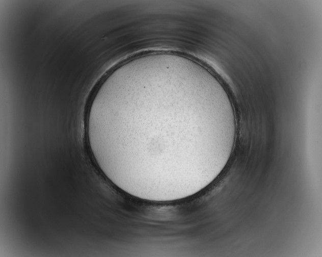 X0000089350837200707131529