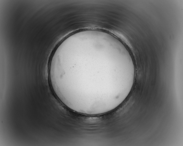 X0000089350839200707131529