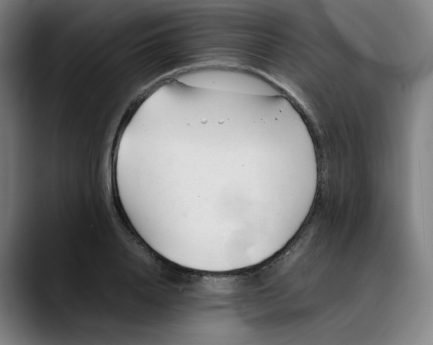X0000089350840200707131529