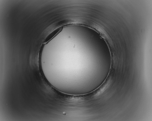X0000089350842200707131529