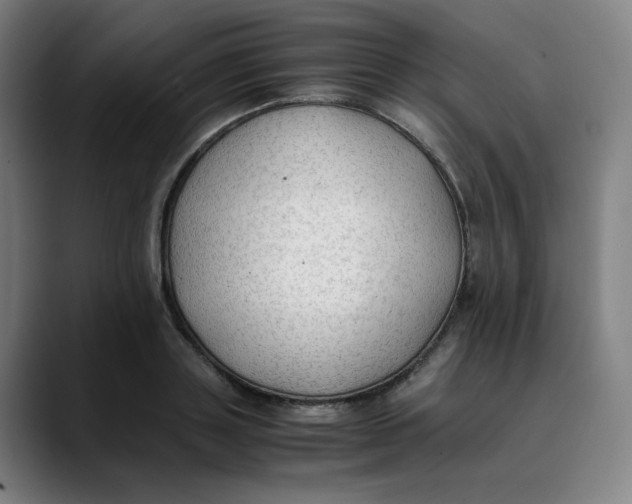 X0000089350843200707131529