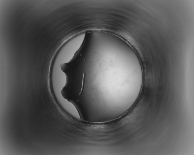 X0000089350845200707131530