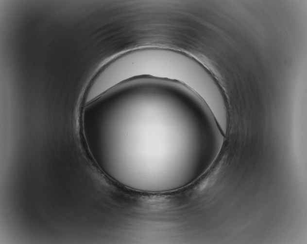 X0000089350846200707131530