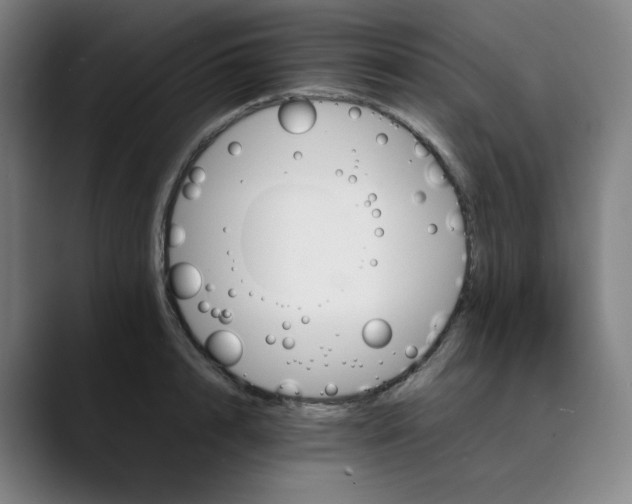 X0000089350848200707131530