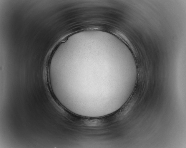 X0000089350851200707131530