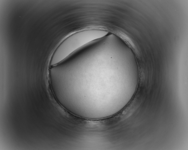 X0000089350852200707131530