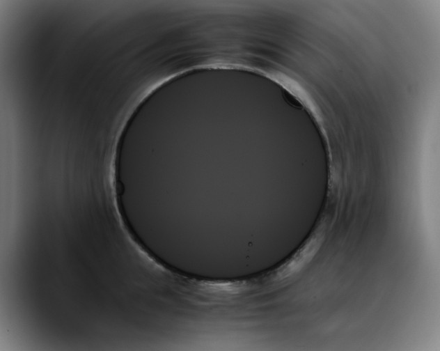 X0000089350855200707131530