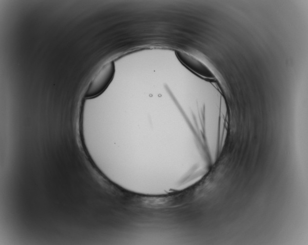X0000089350861200707131530