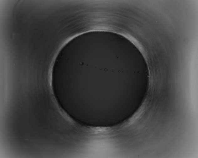 X0000089350862200707131530