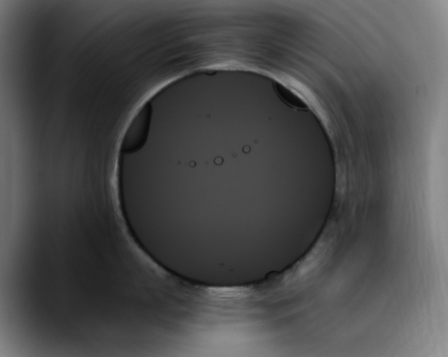 X0000089350863200707131530