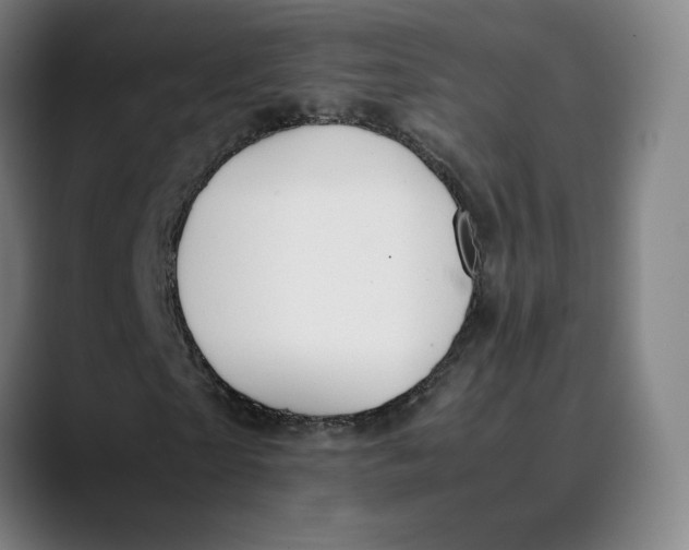 X0000089350865200707131529