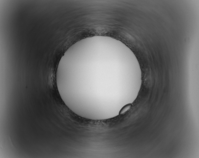 X0000089350866200707131529