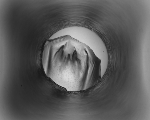 X0000089350868200707131529