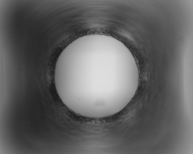X0000089350869200707131529