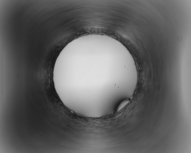 X0000089350870200707131529