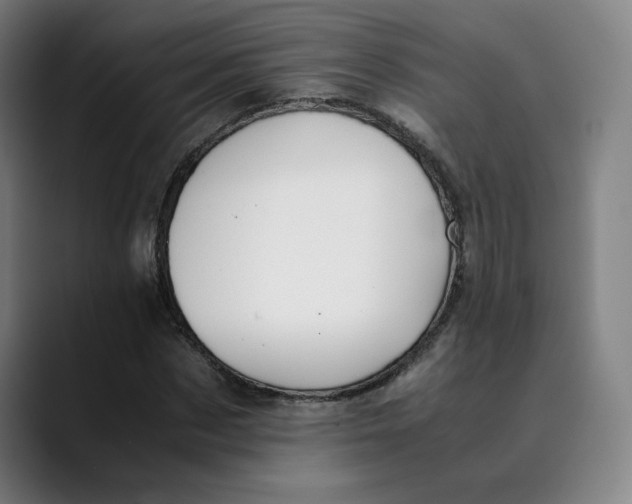 X0000089350873200707131529
