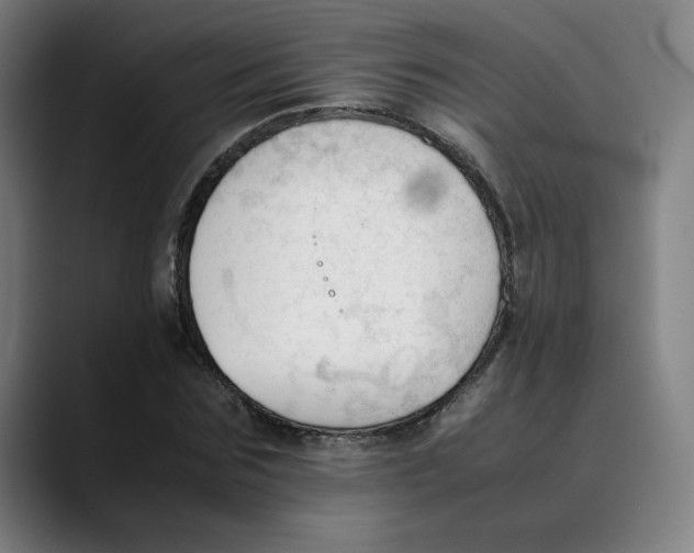 X0000089350875200707131529