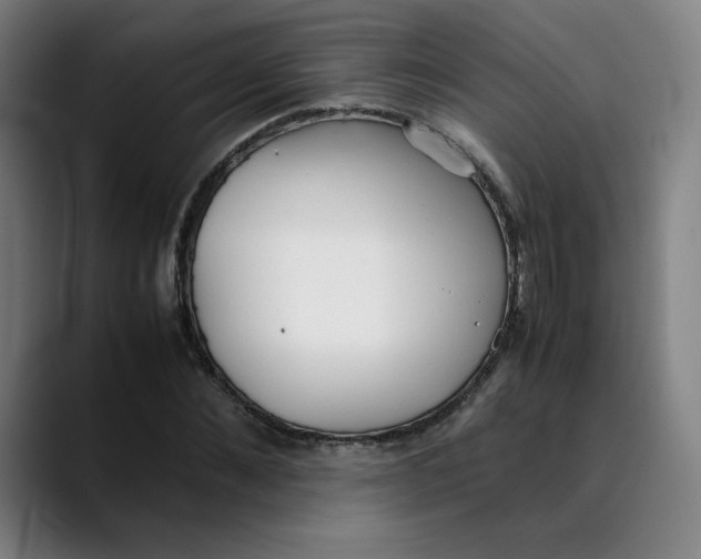 X0000089350876200707131529