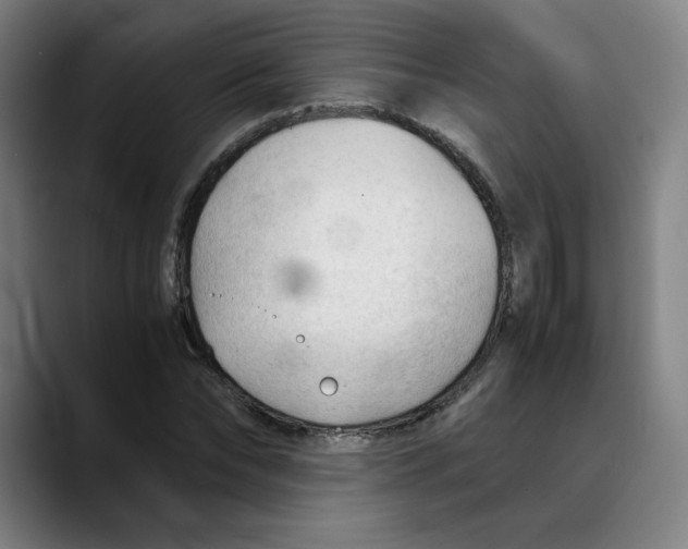 X0000089350878200707131529