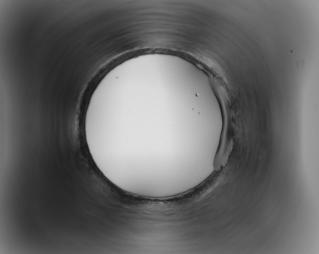 X0000089350880200707131529